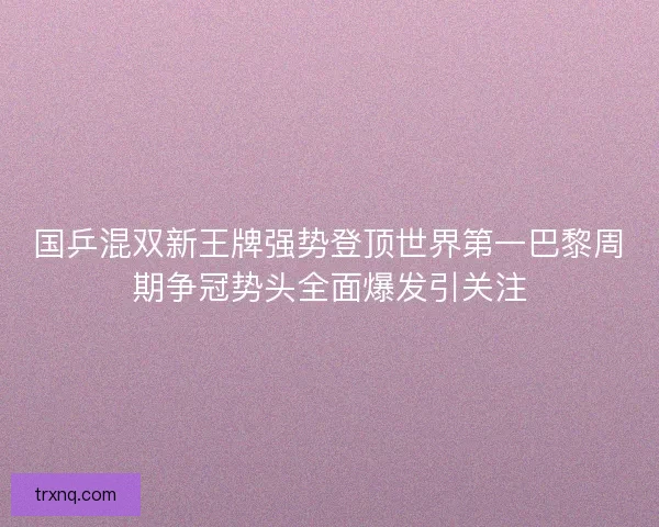 国乒混双新王牌强势登顶世界第一巴黎周期争冠势头全面爆发引关注