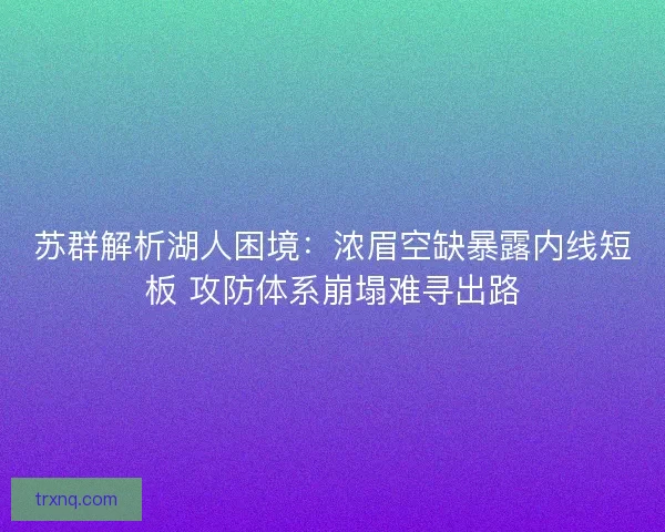 苏群解析湖人困境：浓眉空缺暴露内线短板 攻防体系崩塌难寻出路